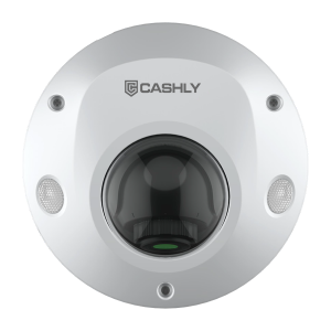 https://www.cashlyintercom.com/jsl-c35ps-5mp-fixed-ir-dome-camera-product/